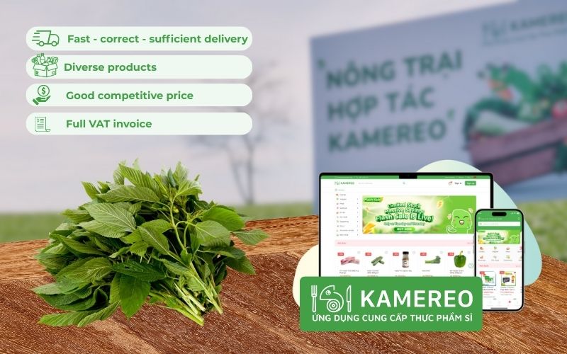 Kamereo - Supplier of fresh jute at wholesale prices for F&B businesses