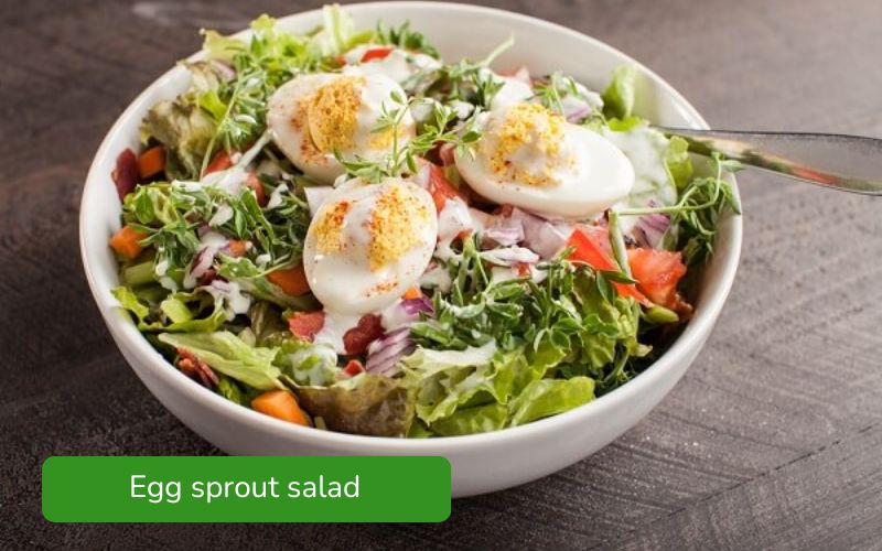 Fresh and crispy egg sprout salad, attractively colored.