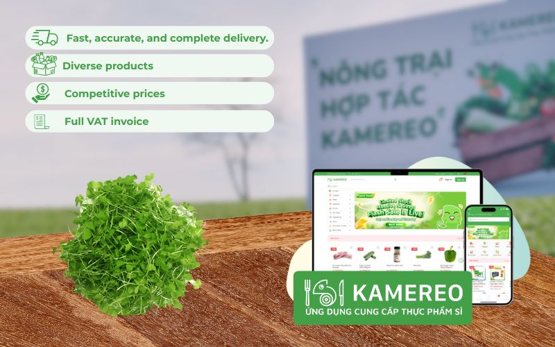 Kamereo - An app that provides wholesale sprouts for F&B businesses.