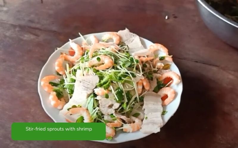 Stir-fried sprouts with beef, crispy and delicious, vibrant green color.