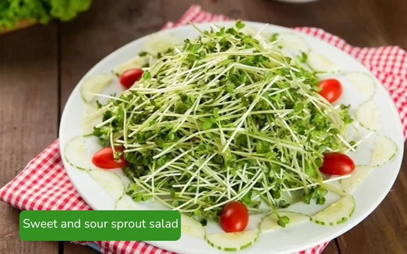 Sweet and sour sprout salad, crispy and fresh, with attractive colors.