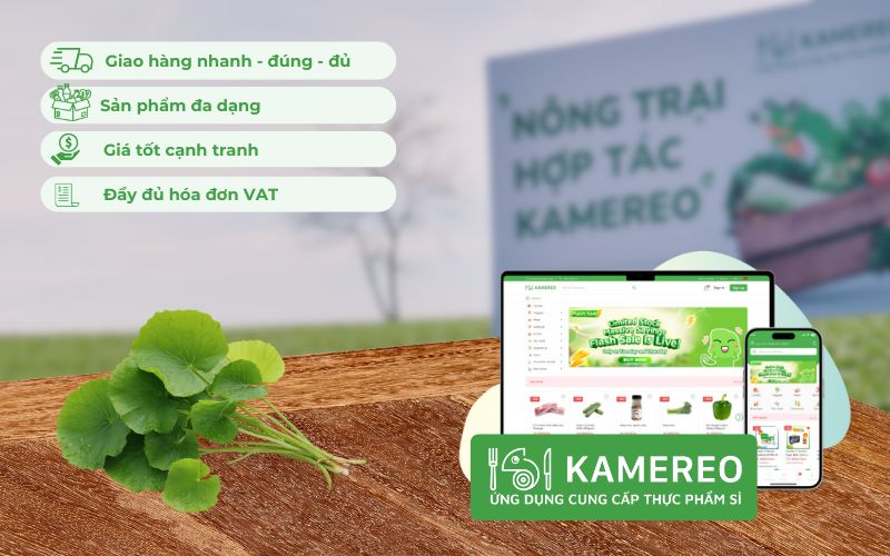 Kamereo - Ứng dụng cung cấp sỉ rau má giá tốt, đầy đủ hóa đơn VAT cho doanh nghiệp F&B