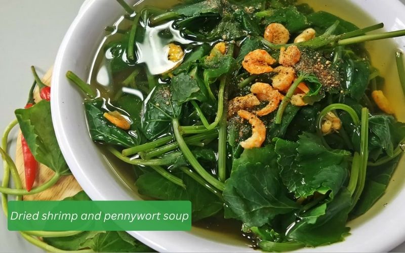 A bowl of fragrant, rich, clear water with pennywort soup cooked with dried shrimp