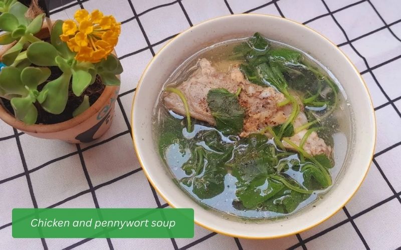 Chicken and pennywort soup with tender chicken, sweet broth and fresh green pennywort