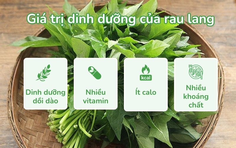Giá trị dinh dưỡng của rau lang