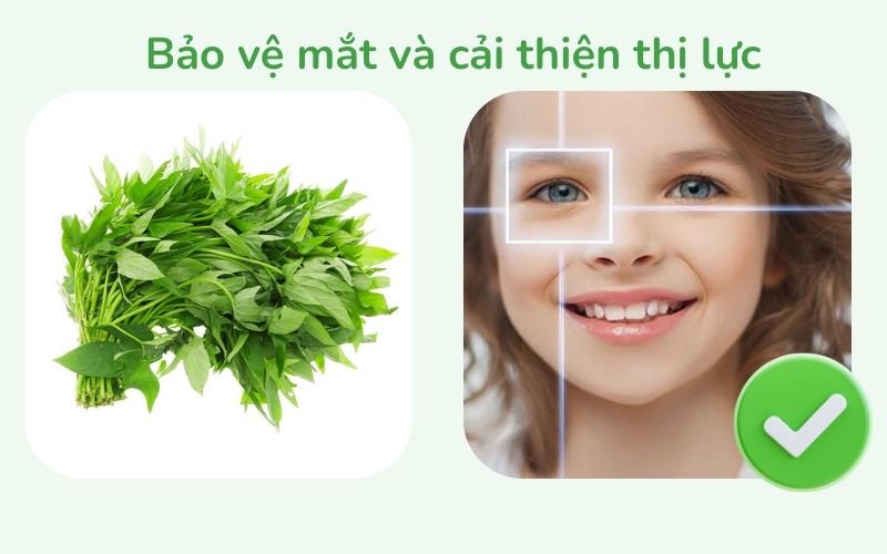 Rau lang giúp bảo vệ mắt và cải thiện thị lực