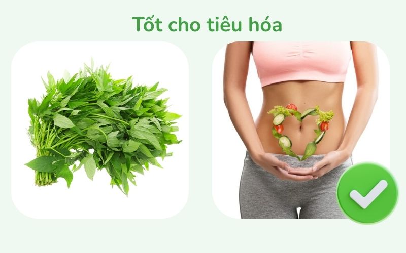 Rau lang tốt cho tiêu hóa