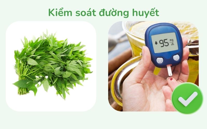 Rau lang giúp kiểm soát đường huyết