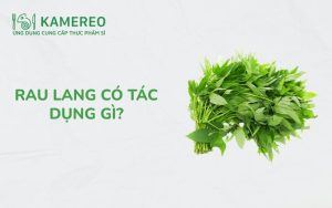 rau lang có tác dụng gì
