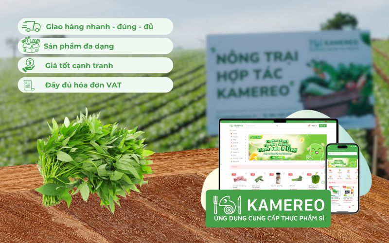 Kamereo - Ứng dụng cung cấp sỉ rau lang tươi ngon, giá tốt
