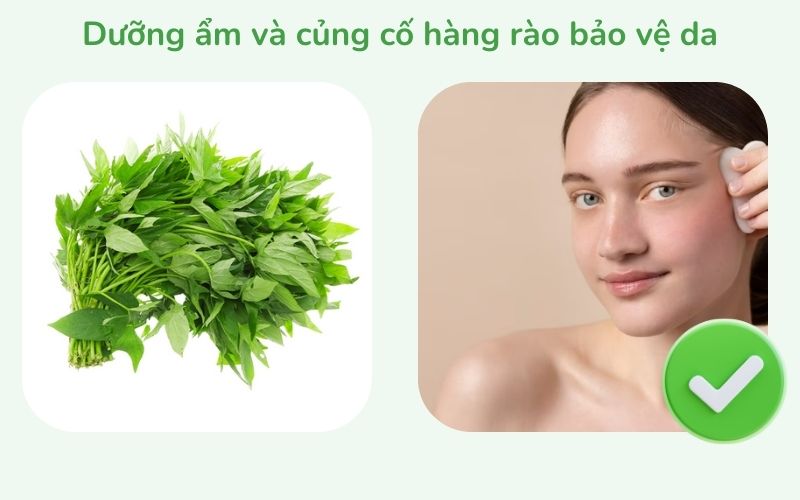 Dưỡng ẩm và củng cố hàng rào bảo vệ da