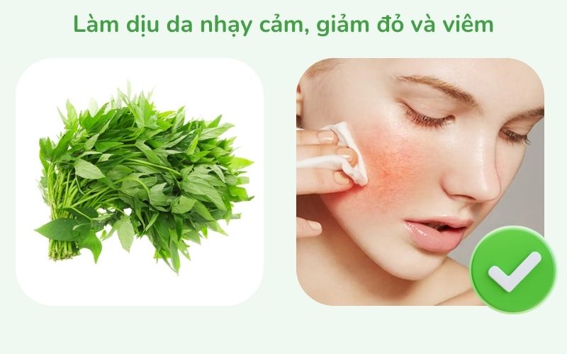 Làm dịu da nhạy cảm, giảm đỏ và viêm