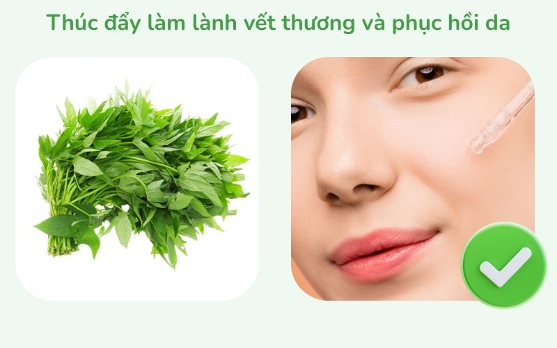 Thúc đẩy làm lành vết thương và phục hồi da