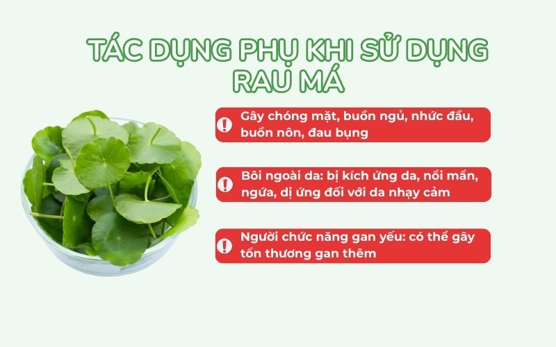 Tác dụng phụ khi sử dụng rau má
