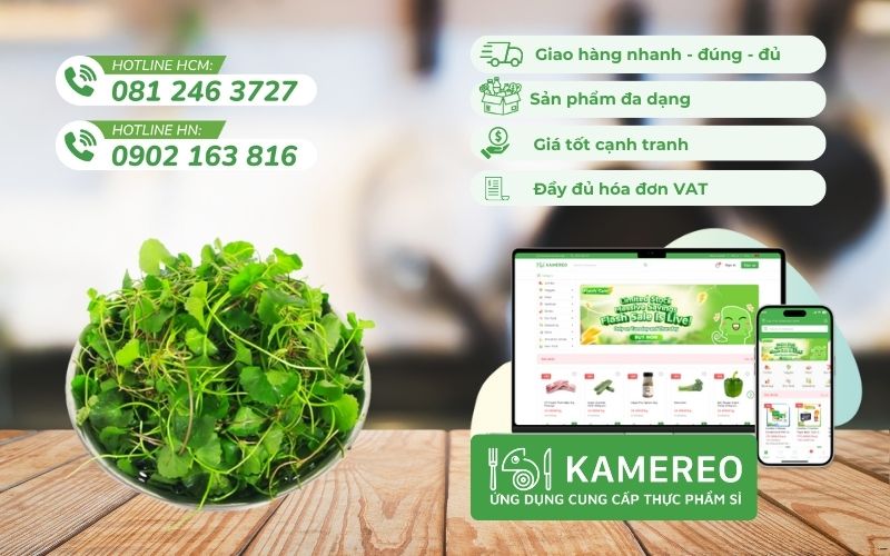 Kamereo - Ứng dụng cung cấp sỉ rau má giá tốt, đầy đủ VAT cho chủ quán