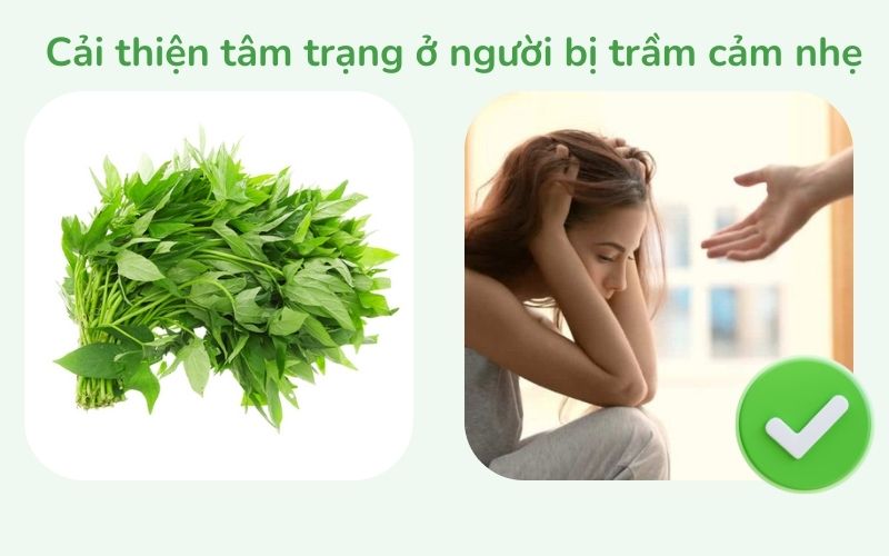 Rau má cải thiện tâm trạng ở người bị trầm cảm nhẹ