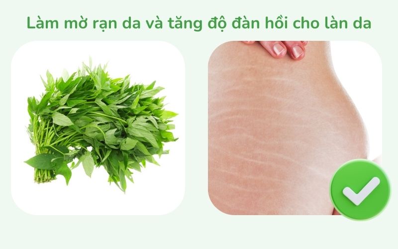 Rau má làm mờ rạn da và tăng độ đàn hồi cho làn da