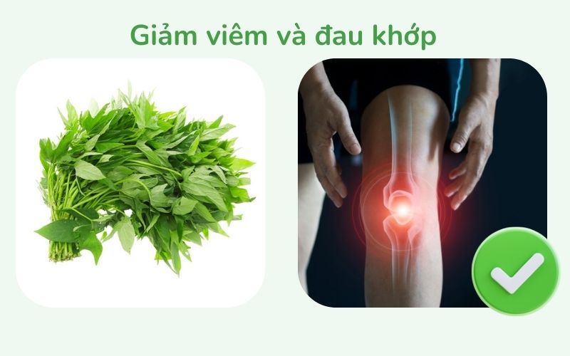 Rau má giảm viêm và đau khớp