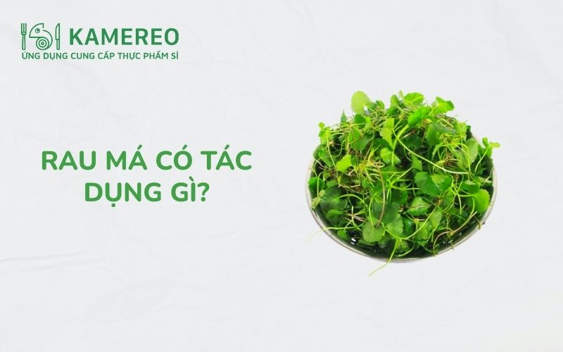 rau má có tác dụng gì​