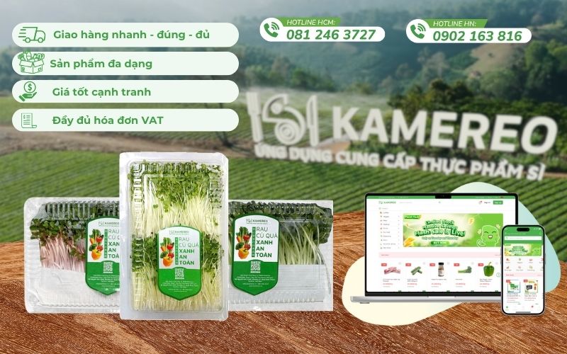 Mua rau mầm giá sỉ, tươi ngon cho doanh nghiệp F&B tại Kamereo