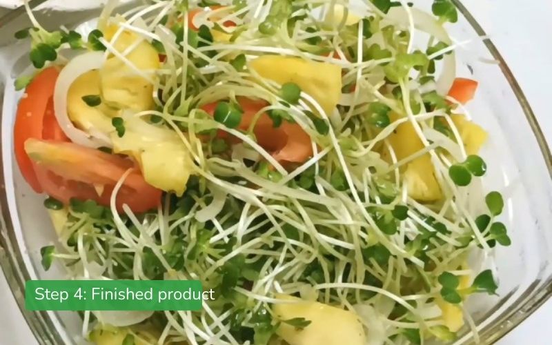 Fresh and crispy sprout salad with vinaigrette dressing, attractive colors.