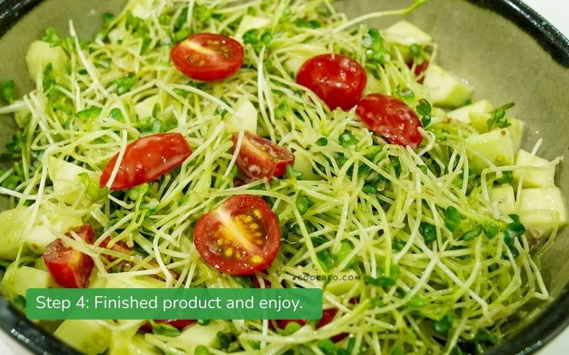 A refreshing and complete salad of sprouts mixed with vinegar, cucumber, and tomato.