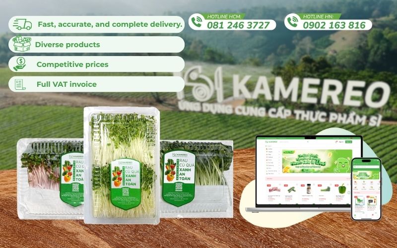 Buy fresh, high-quality sprouts at wholesale prices for F&B businesses at Kamereo.