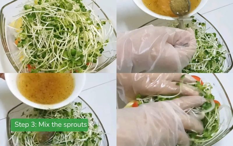 Mix the sprout salad with the vinaigrette dressing in a large bowl.