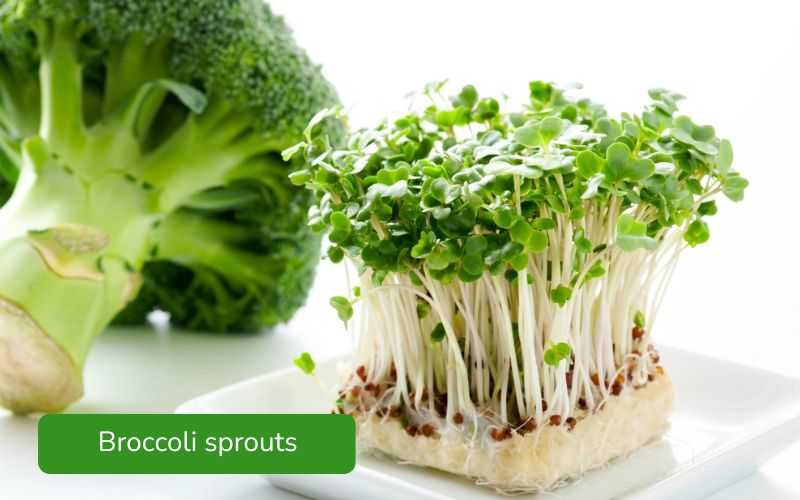 Crispy and refreshing broccoli sprouts with small, vibrant green leaves.