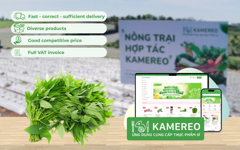 Kamereo - Application providing fresh, good-priced wholesale sweet potato leaves for F&B businesses