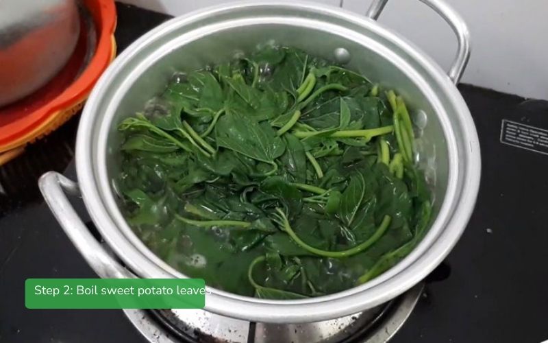 Boiled sweet potato leaves
