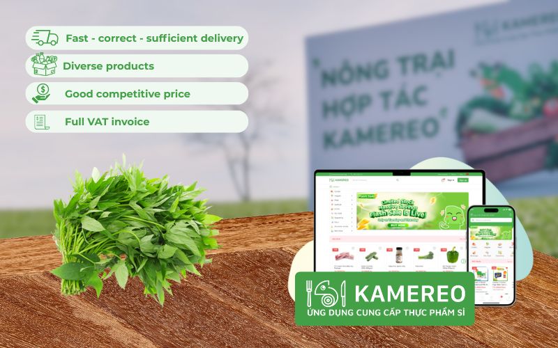 Kamereo - Supplier of fresh sweet potato leaves at wholesale prices for F&B businesses