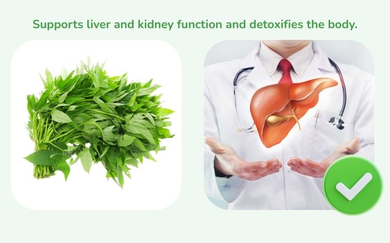 Supports liver and kidney function and detoxifies the body.