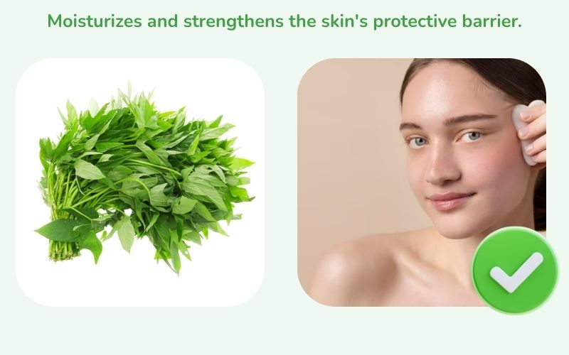 Moisturize and strengthen the skin's protective barrier.