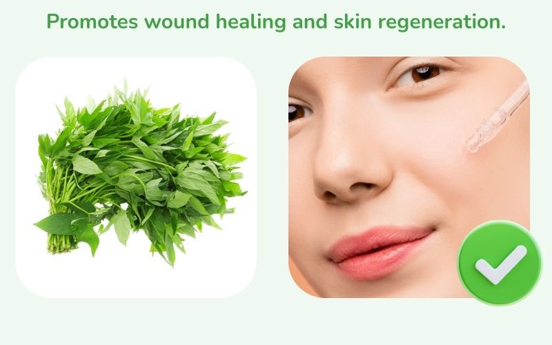 Promotes wound healing and skin recovery
