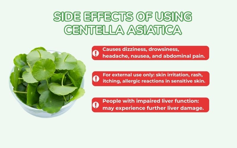 Side effects of using Centella asiatica