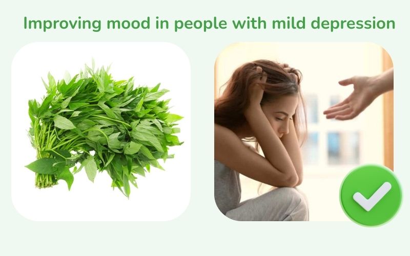 Centella asiatica improves mood in people with mild depression.