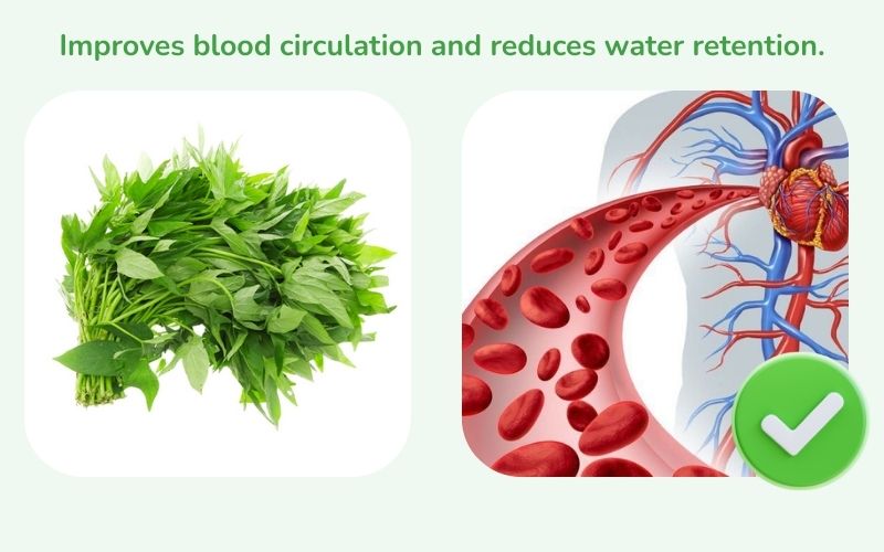 Centella asiatica improves blood circulation and reduces water retention.