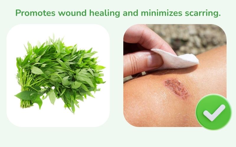 Centella asiatica promotes wound healing and reduces scarring.