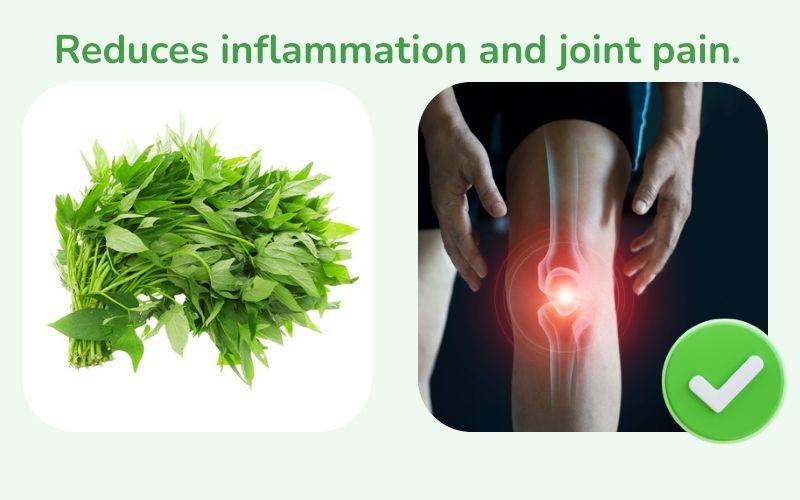 Gotu kola reduces inflammation and joint pain
