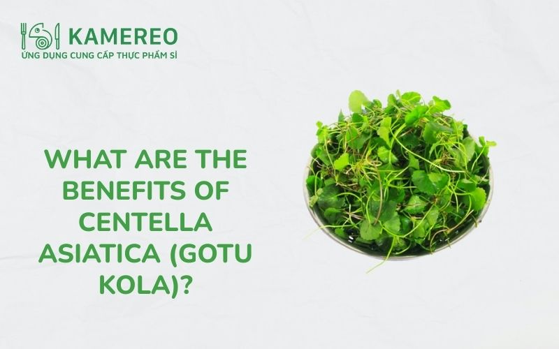What are the benefits of centella asiatica