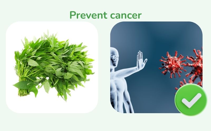 Sweet potato leaves help prevent cancer