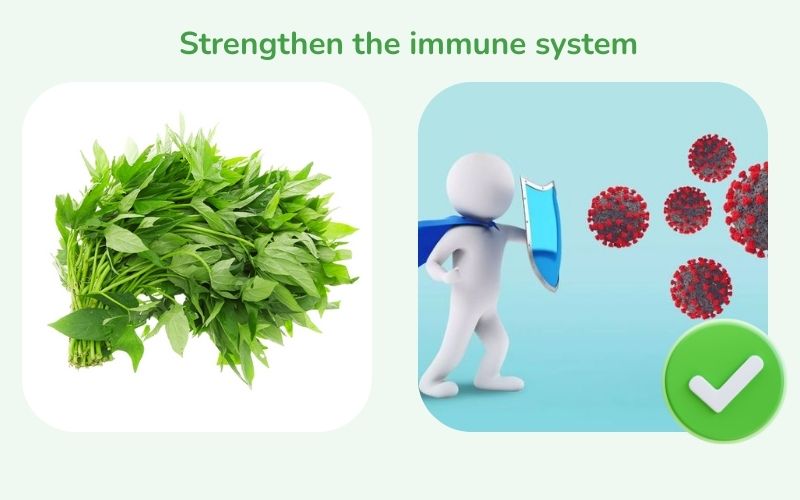 Sweet potato leaves help strengthen the immune system