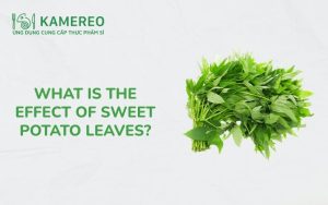 What are the effects of sweet potato leaves
