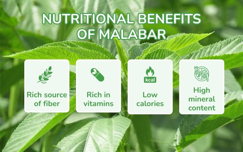 Nutritional value of jute