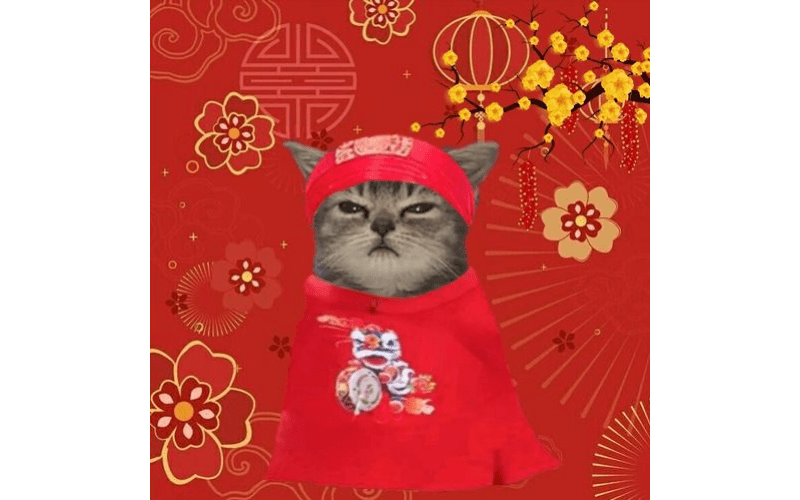 Avatar Tết cute, meme dễ thương 04