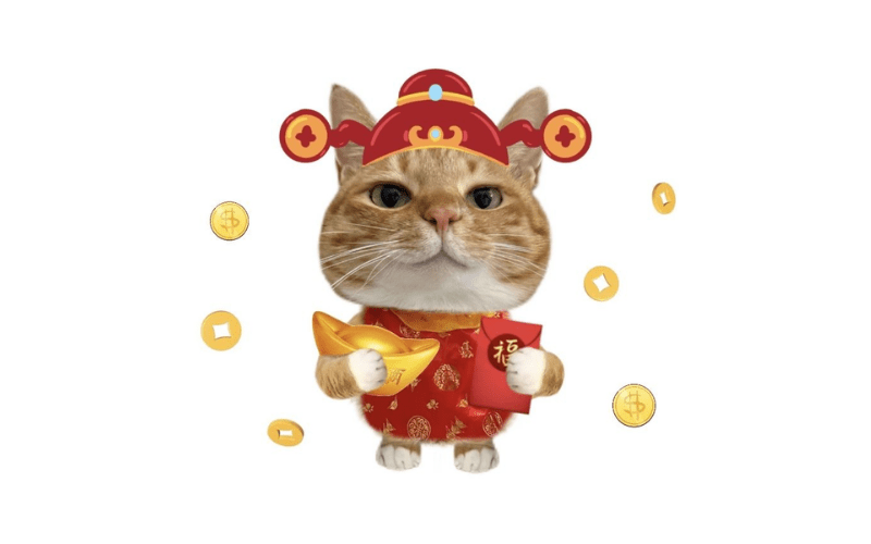 Avatar Tết cute, meme dễ thương 07