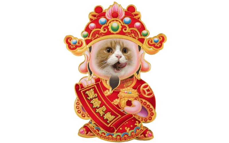 Avatar Tết cute, meme dễ thương 10