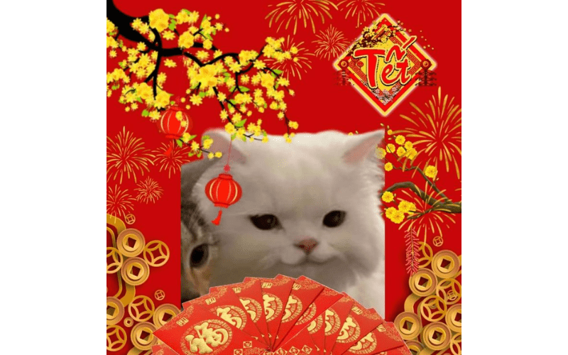 Avatar Tết bựa 09