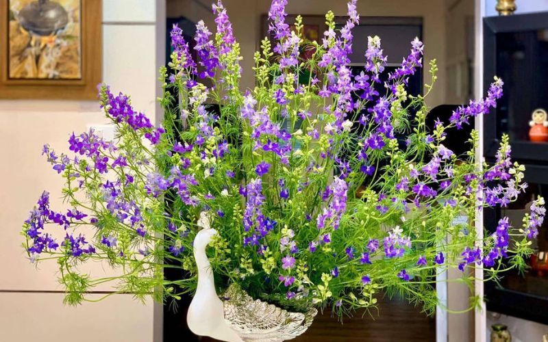 Hoa violet chưng Tết màu tím nhẹ nhàng, tinh tế